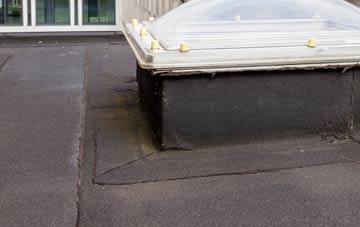 disadvantages of Hillstreet flat roofs