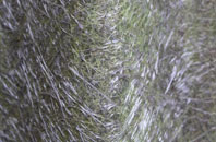 Hillstreet fibreglass roof work